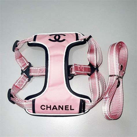 chanel dog collar and leash.